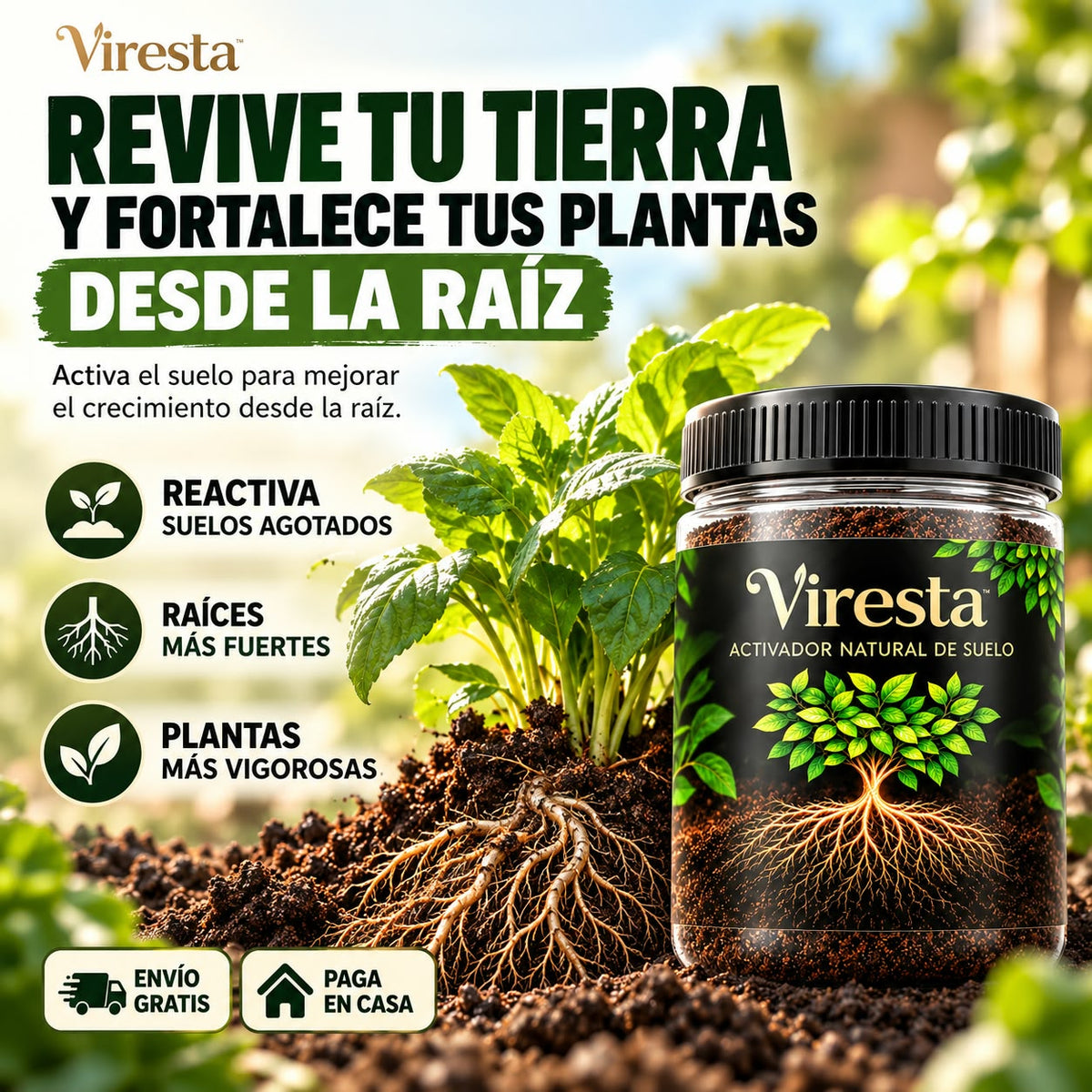 Viresta